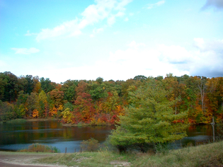 Lake, trees, sky